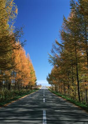移動図書館や販売車をつくる会社