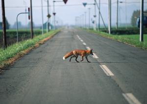 ハイエースの中古車をお探しならこちら