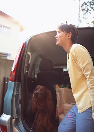 車検をスマートに乗り切る！費用削減と手続き簡素化の完全ガイド